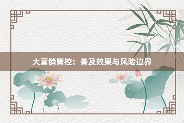 大营销管控：普及效果与风险边界